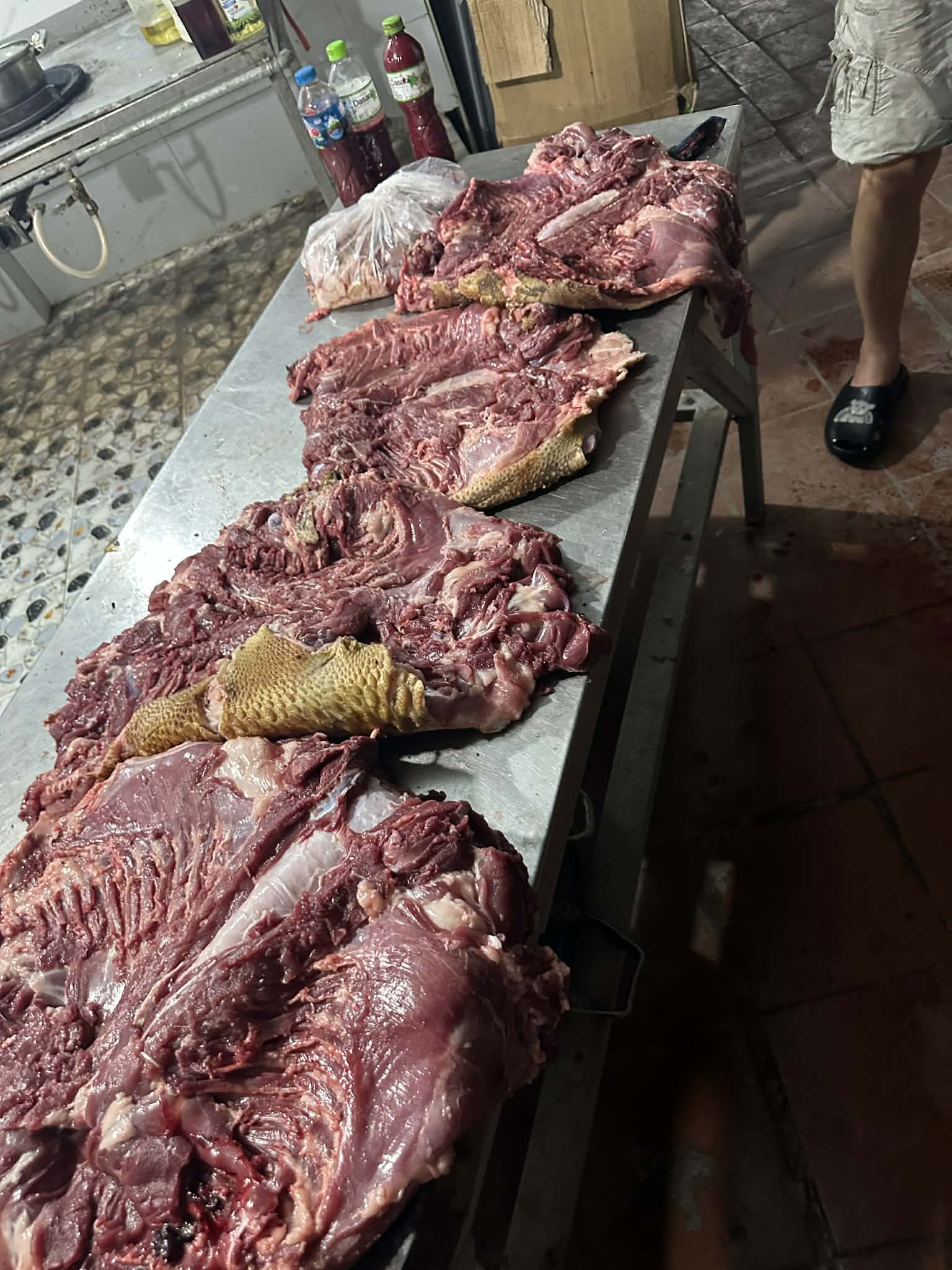 sơ chế nhím thịt