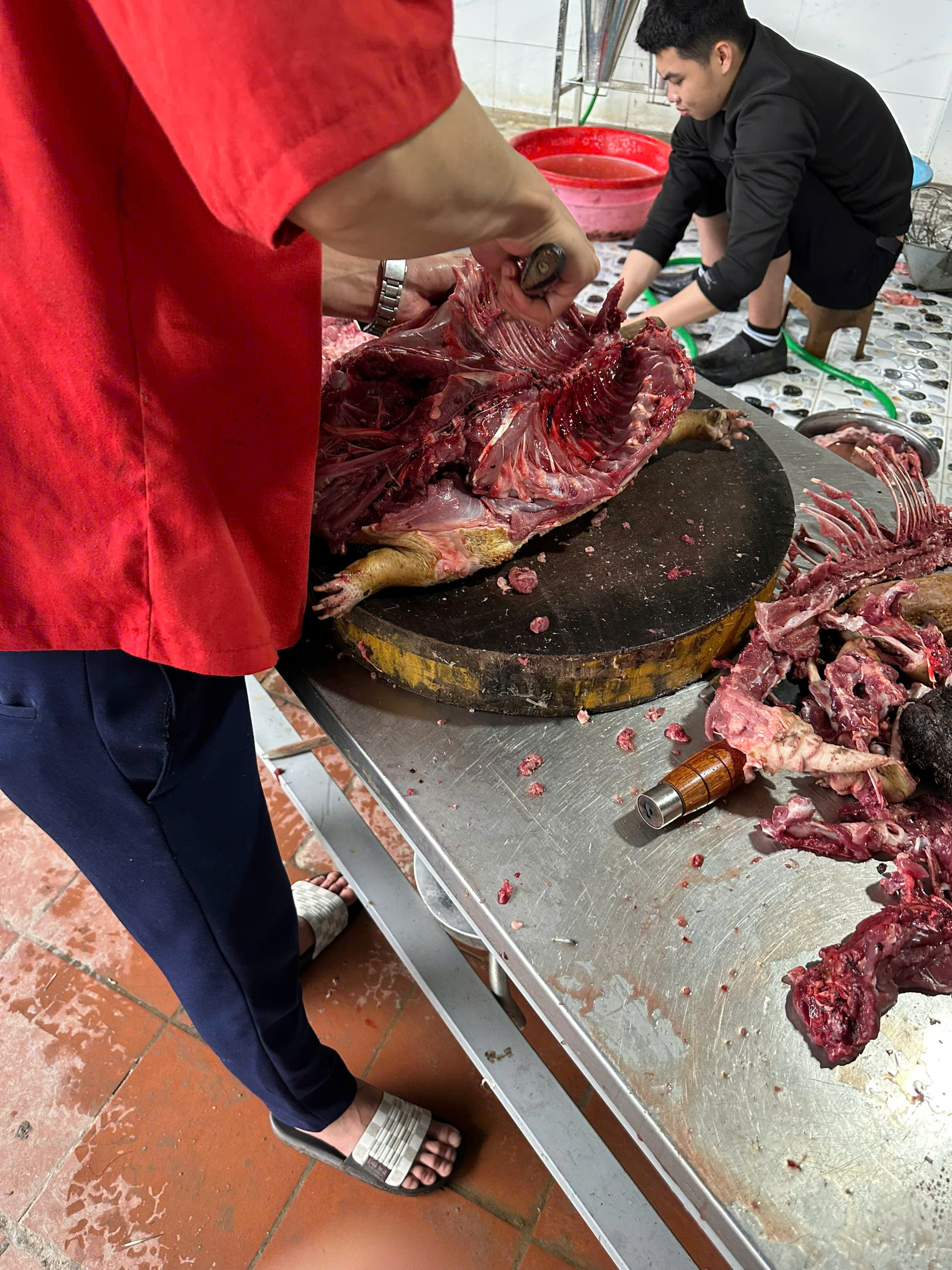 sơ chế nhím thịt 