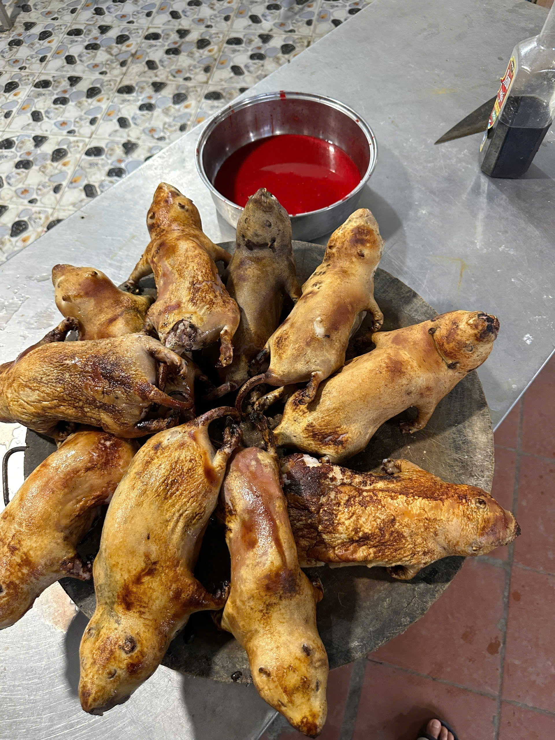 sơ chế dúi rừng